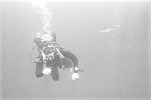 Oriskany